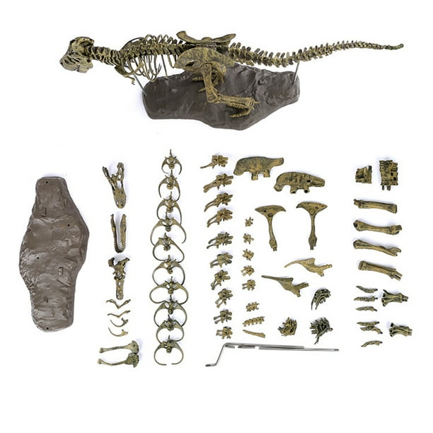 Tyrannosaurus Rex Skeleton Dinosaur T-Rex Animal Model super Toys Collector